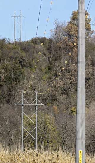 Utility installs insulators to ‘eagle proof’ power lines