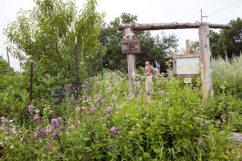 Growing peace, preserving herbs in Iowa City garden