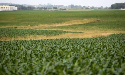Farmland rent prices on the rise