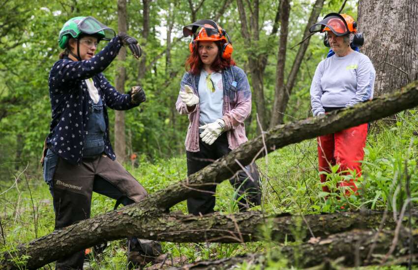 Photos: Chainsaw course aims to help women gain confidence with power tools 