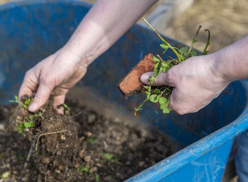 Aegon Asset Management employee Angel Payne sorts through dirt for compostable materials while volunteering with her company for Day of Caring at Cultivate Hope Urban Garden in Cedar Rapids, Iowa on Thursday, May 11, 2023. (Savannah Blake/The Gazette)