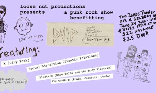 Punk show on Friday to benefit Domestic Violence Intervention Program