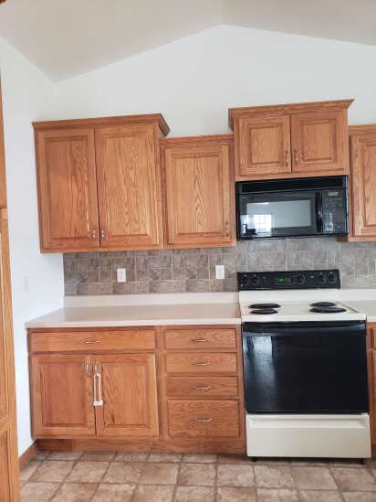 cabinets - Remove protective coating quickly - Home Improvement