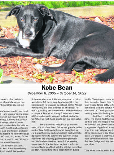 Kobe Bean December 8, 2005 – October 14, 2022