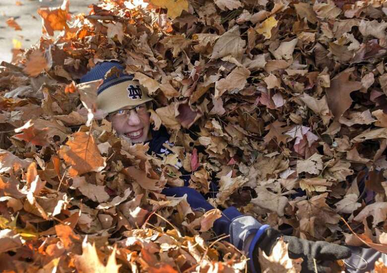 It’s not winter yet; there’s still plenty of fall chores
