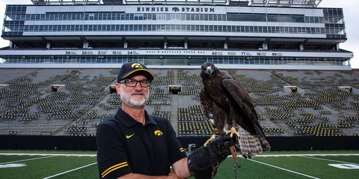 Through the Raptor Ambassador Program, UI WILD Director David Conrads and his team—including Hercules 2 the red-tailed hawk—teach Hawkeye fans about nature conservation. Conrads and the hawk will participate in this summer’s first University of Iowa Grandparents University. (Brian Ray/University of Iowa)