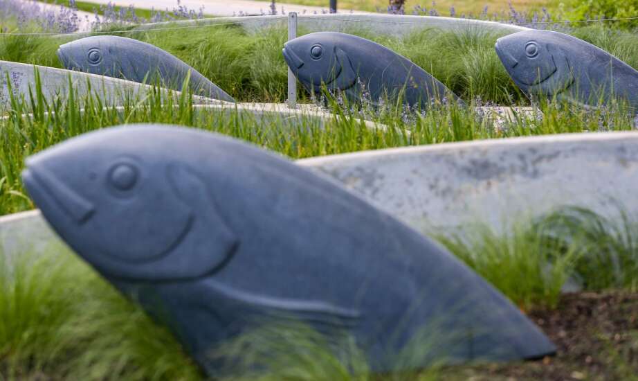 Hancher’s ‘Wellspring’ fish sculptures inspire children’s book by Iowa City author and illustrator