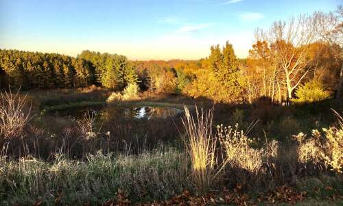 Discover a Johnson County oasis at Kent Park