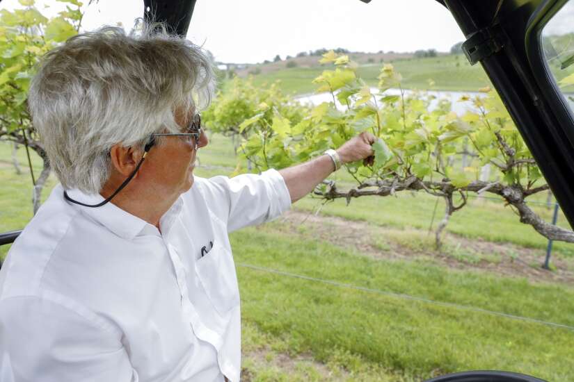 Iowa wineries hope a busy summer will help them rebound from 2020