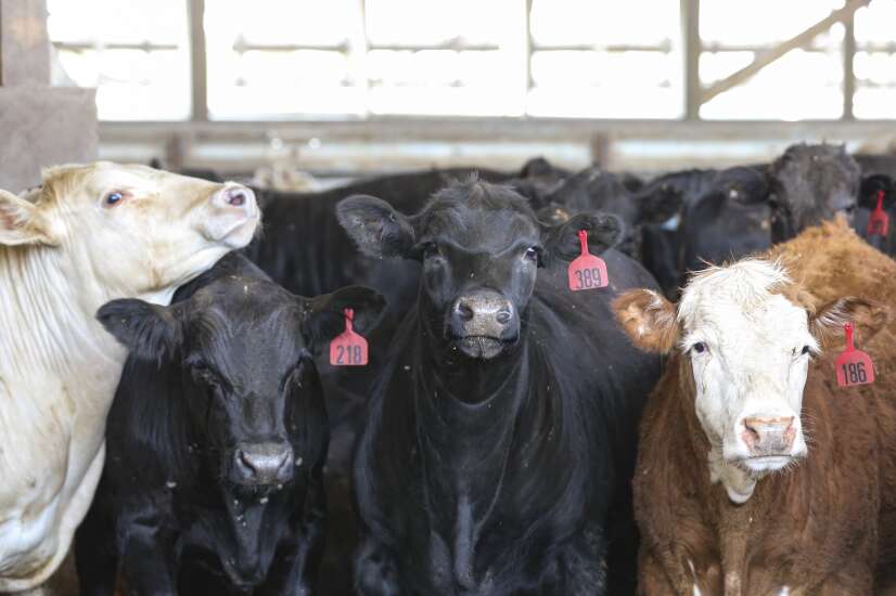 Shoppers and farmers seethe over higher beef prices