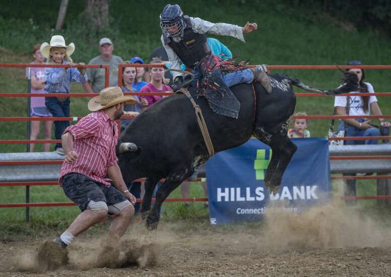 Family Rodeo at the Johnson County Fair 