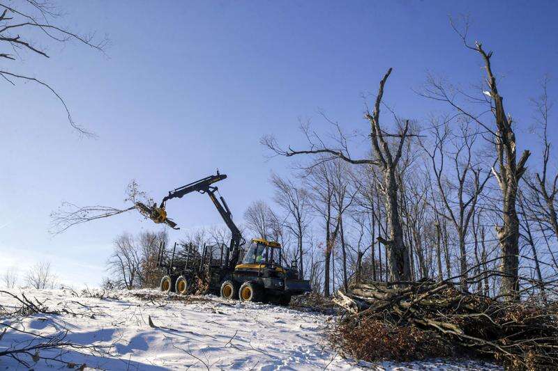 Cedar Rapids City Council to adopt $37 million ReLeaf plan to recover from ‘devastating’ derecho tree loss