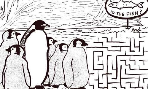 Help these penguins waddle through a maze