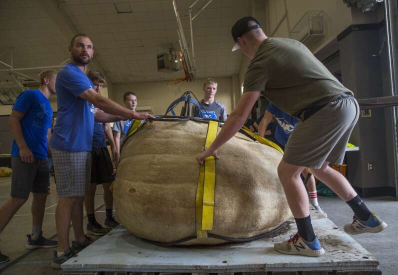 Photos: Ryan Norlin Giant Pumpkin Weigh-In