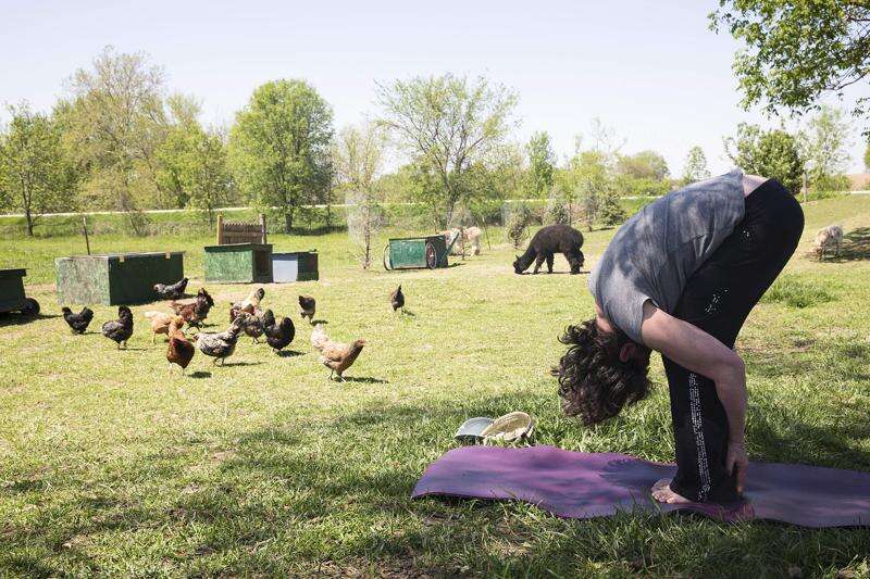 E-I-E-I-Om; Eastern Iowa farms offering ‘farm yoga’