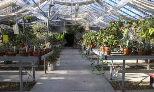 Noelridge Greenhouses in Cedar Rapids celebrating 50th anniversary