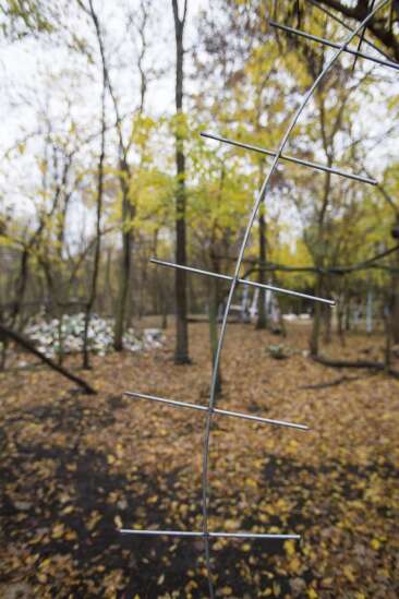 Couple creates sculpture park using organic material