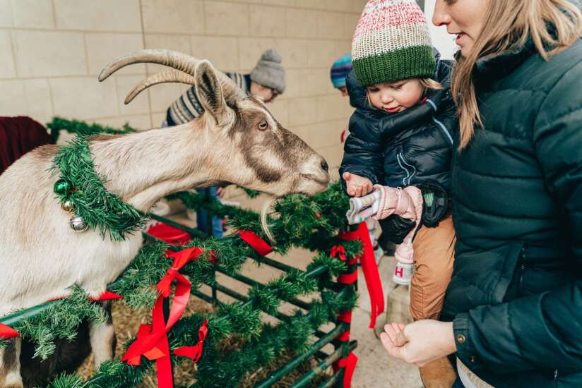 Enjoy holiday traditions inside and outside at Vesterheim's Norwegian Christmas