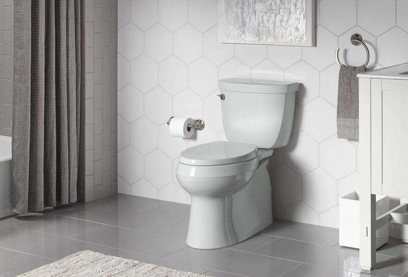 What to look for while shopping for a new toilet