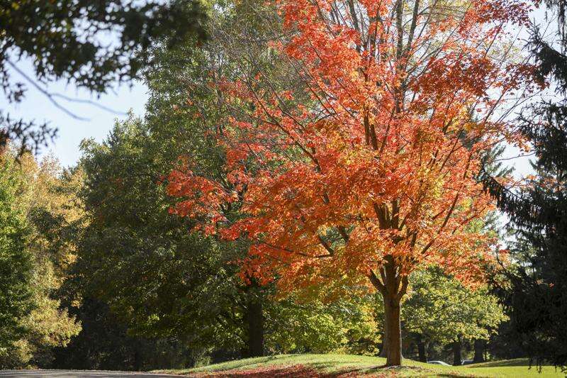 Fall color is peaking in Eastern Iowa soon, here are some ideas of where to soak it in