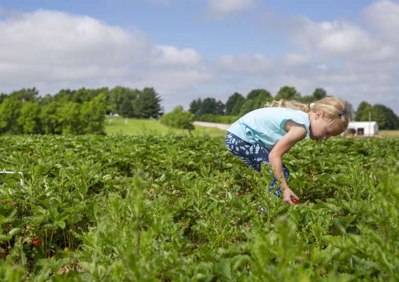 Berry Basket Farm owners ‘found a place here’