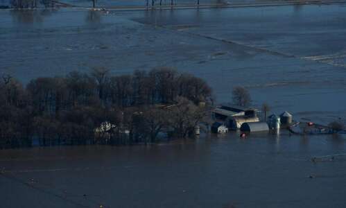 Swollen Mississippi adds headaches for grain farmers