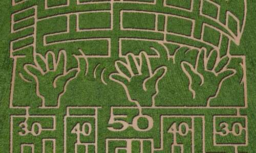 Iowa corn maze to feature the Kinnick Wave