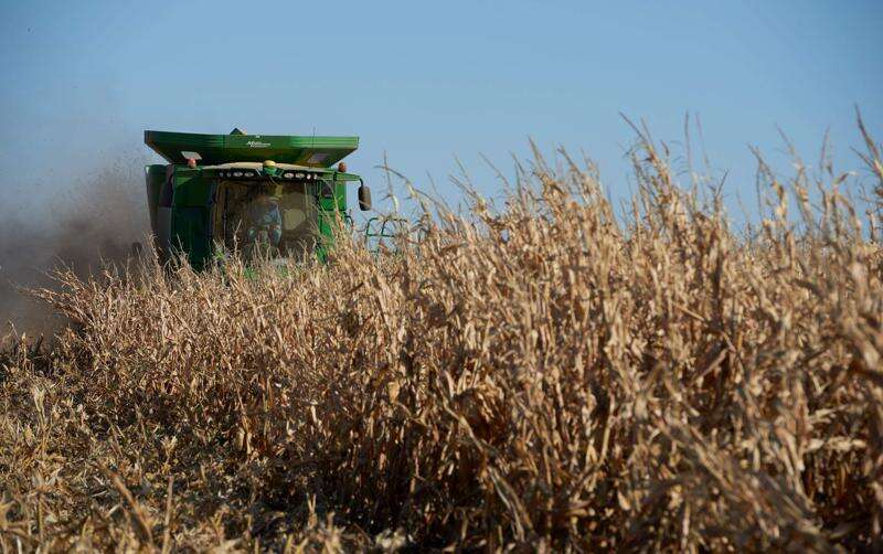 Demand from overseas helps Iowa farmers after derecho