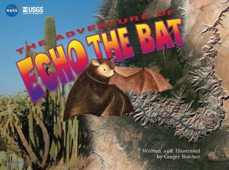 Listen to or read these 3 bat stories