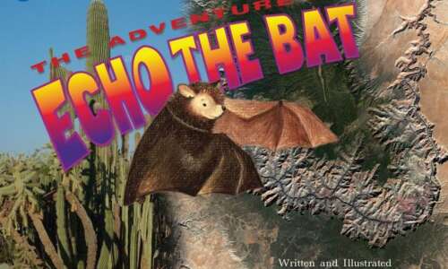 Listen to or read these 3 bat stories