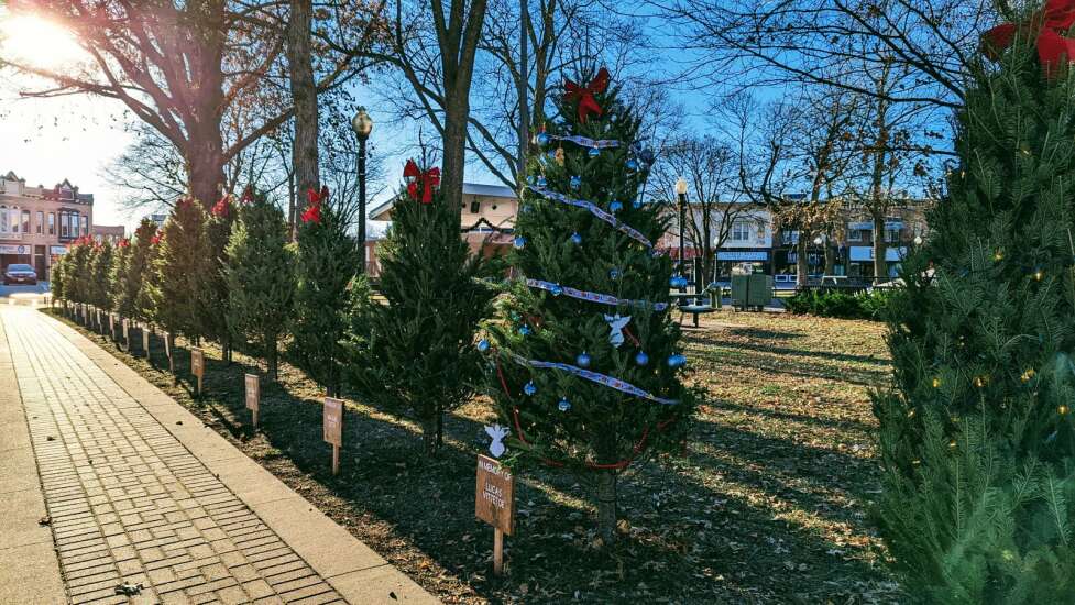 Lights of Love trees placed in park