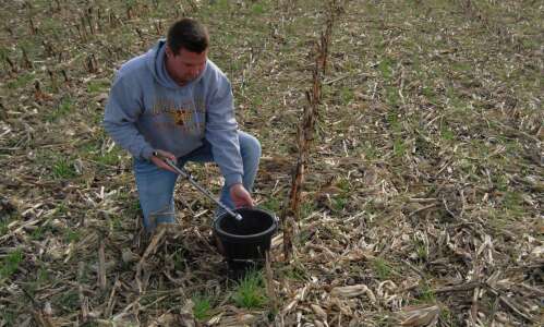 Continuum Ag’s season looks different with no-till, cover crops