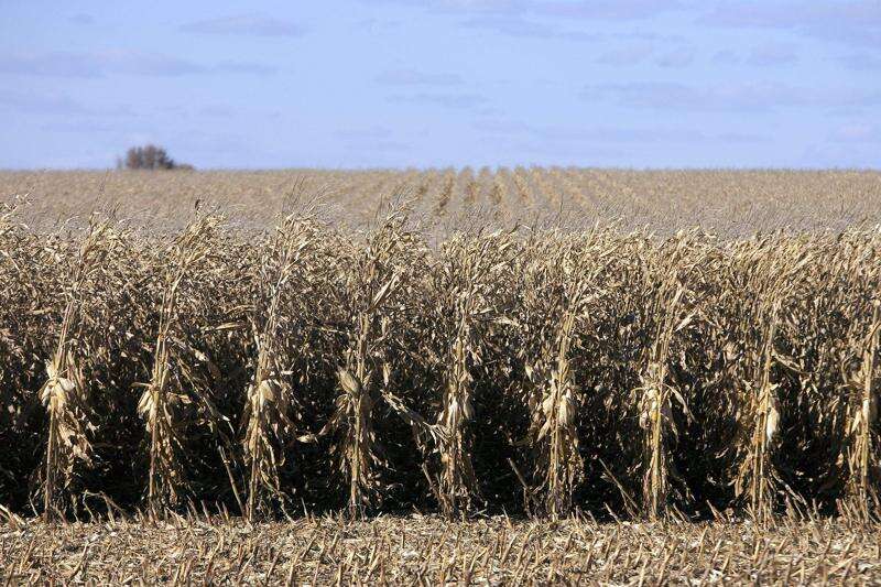 Big data fueling Iowa farmers’ productivity