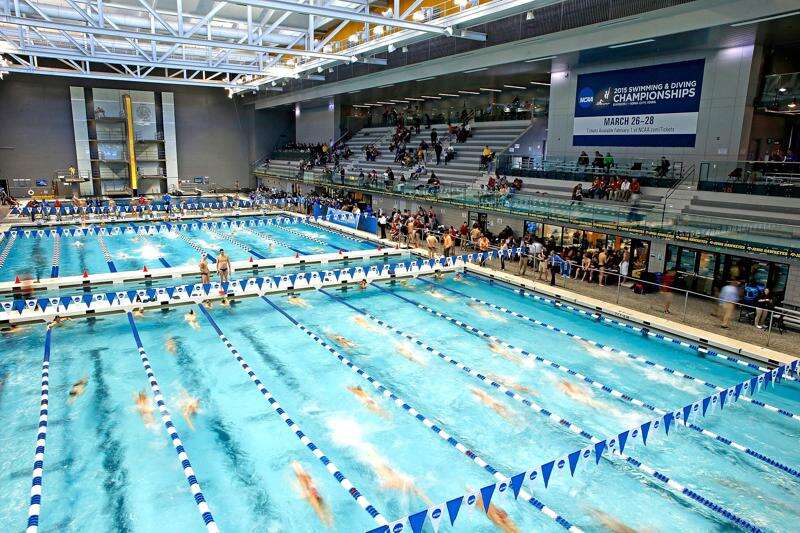 Hawkeye female swimmers, divers file Title IX complaint after University of Iowa cuts sport