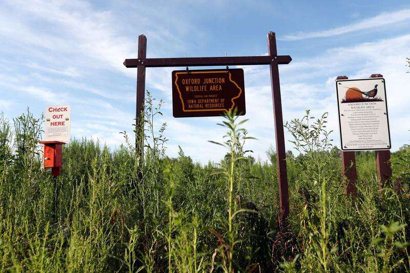 Rebuilding Iowa's Prairie: Oxford Junction Wildlife Area is new space for conservation, habitat