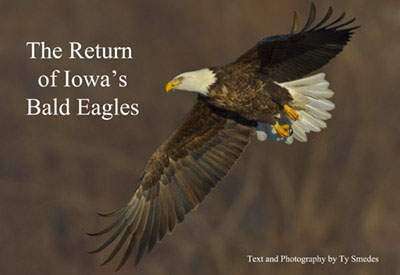 Eagles make a comeback in Iowa photog's book