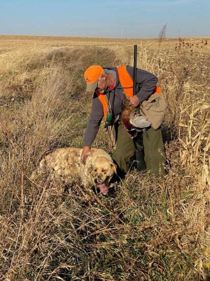 The dog days of hunting season