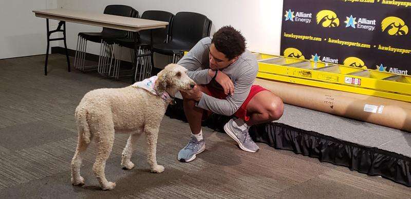 Cordell Pemsl’s dog days of rehabbing from knee surgery are over