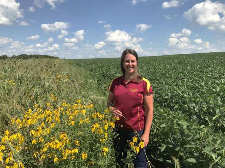 Iowa State University professor working to turn manure into fuel with $10 million grant