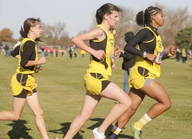 Iowa high school cross country state qualifying: A look at Thursday’s 2A and 1A meets