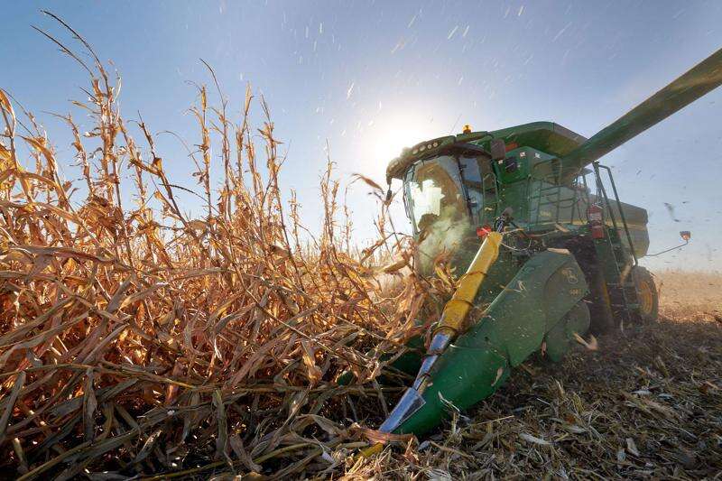 Demand from overseas helps Iowa farmers after derecho