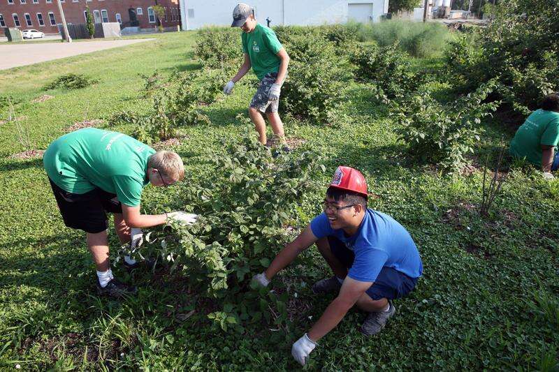 Youth development program works to Cultivate Hope on urban farm