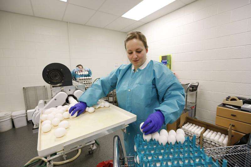 Salmonella found less at Iowa egg-production operations