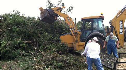 Arborist estimates up to 75 percent of Vinton trees are gone