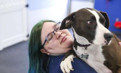 Pawsitive Paws Academy in Cedar Rapids aims for positive training