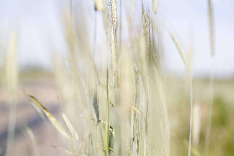 Denying the truth of climate change hurts Iowa’s farmers