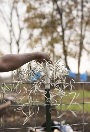 Couple creates sculpture park using organic material