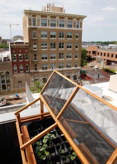 Iowa City business creates hydroponic rooftop garden