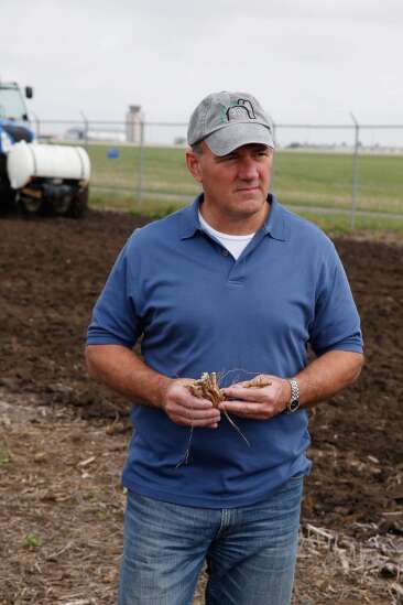 New Eastern Iowa Airport miscanthus crop will fuel University of Iowa power plant