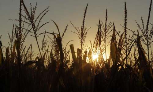 Iowa rains aid crops, ease drought concerns